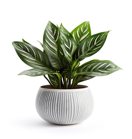 strengths dessert bloom.jpg